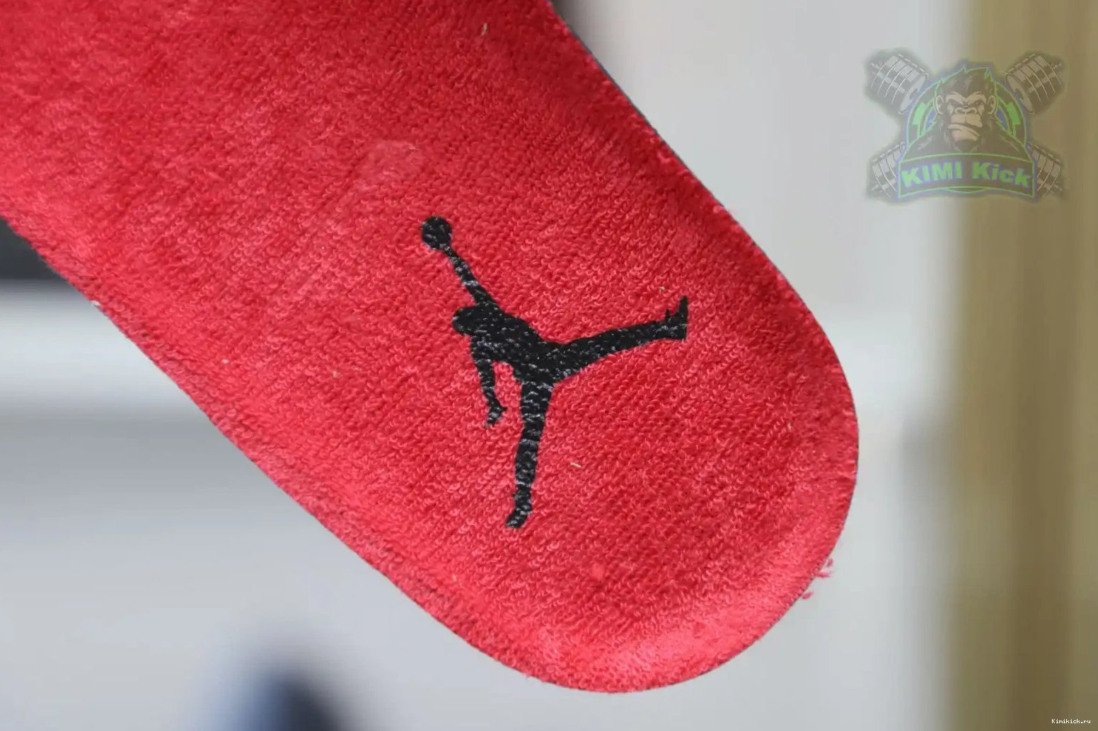 RetroToro Kimikick Jordan4 Jordan Bravo Air 0426